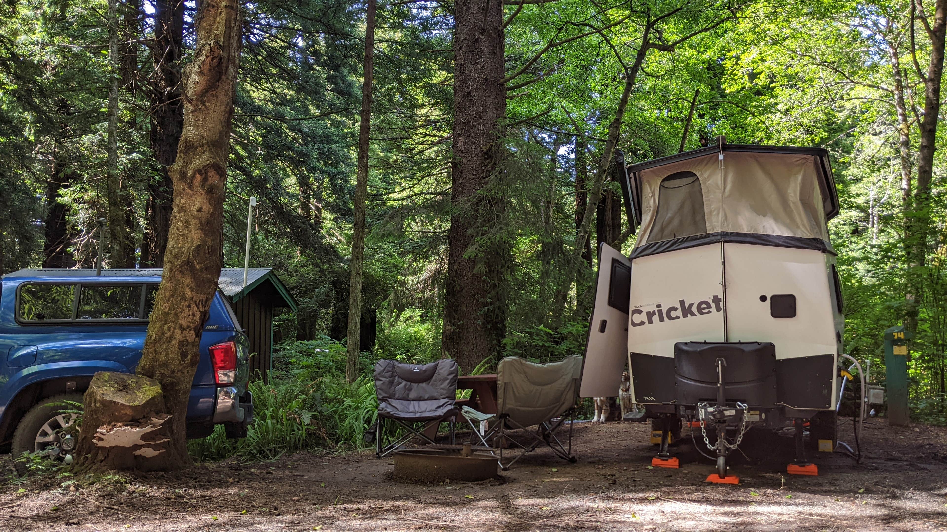 M2 O.'s photo at Emerald Forest Cabins & RV near Hoopa, CA