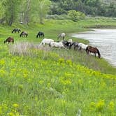 Review photo of Cottonwood Campground — Theodore Roosevelt National Park by Ernie J., June 9, 2022