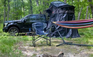 Jay D.'s photo at Sawkaw Lake near Bitely, MI