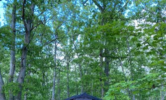 Camping near Nordhouse Dunes Wilderness - Green Road: Sawkaw Lake, Bitely, Michigan