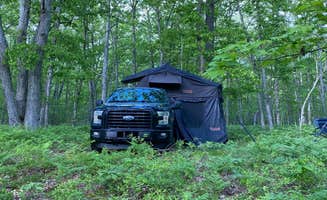 Jay D.'s photo of a dispersed camping area at Sawkaw Lake near Newaygo, MI