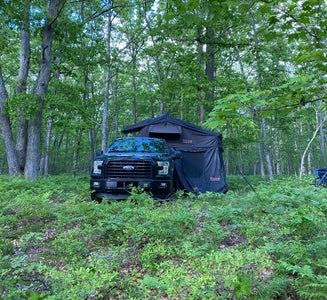 Camper-submitted photo from Sawkaw Lake