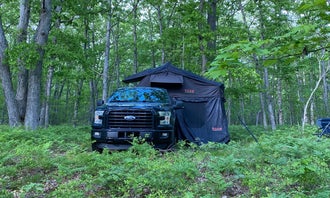 Camping near Pine Meadows: Sawkaw Lake, Bitely, Michigan