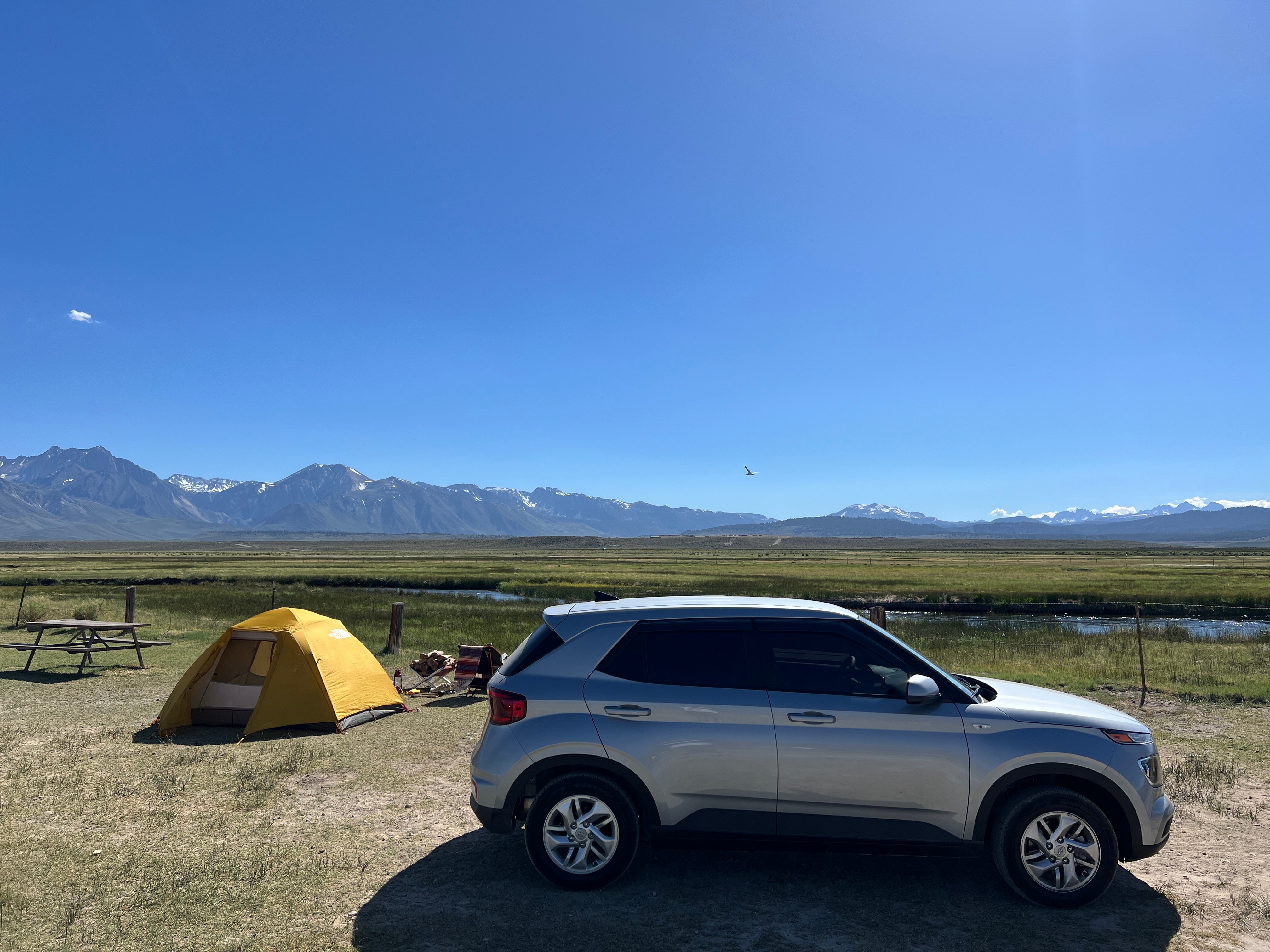 Camper submitted image from Browns Owens River Campground - 1