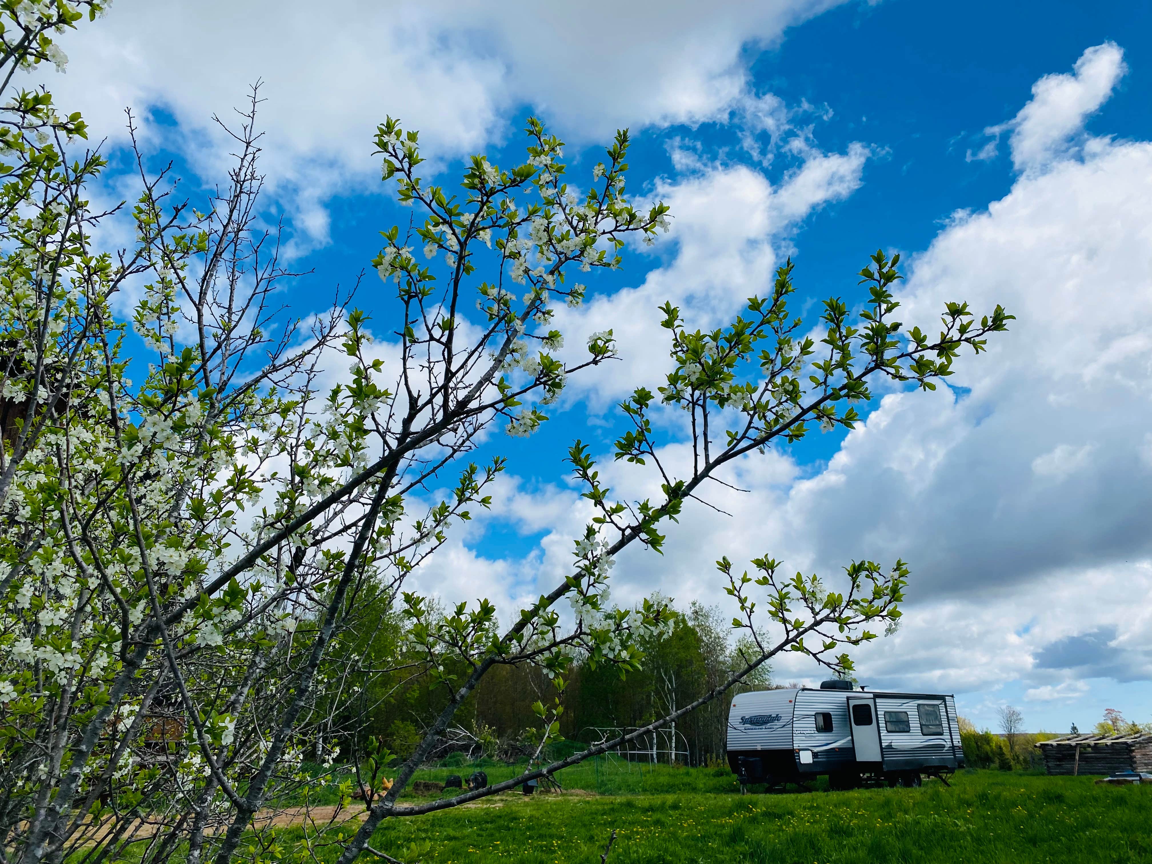 Camper-submitted photo at Constellation Farmstead near Hancock, MI
