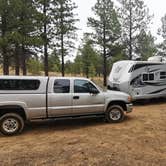 Review photo of Tom Best Spring Road FR117 Dispersed - Dixie National Forest by David W., June 10, 2022