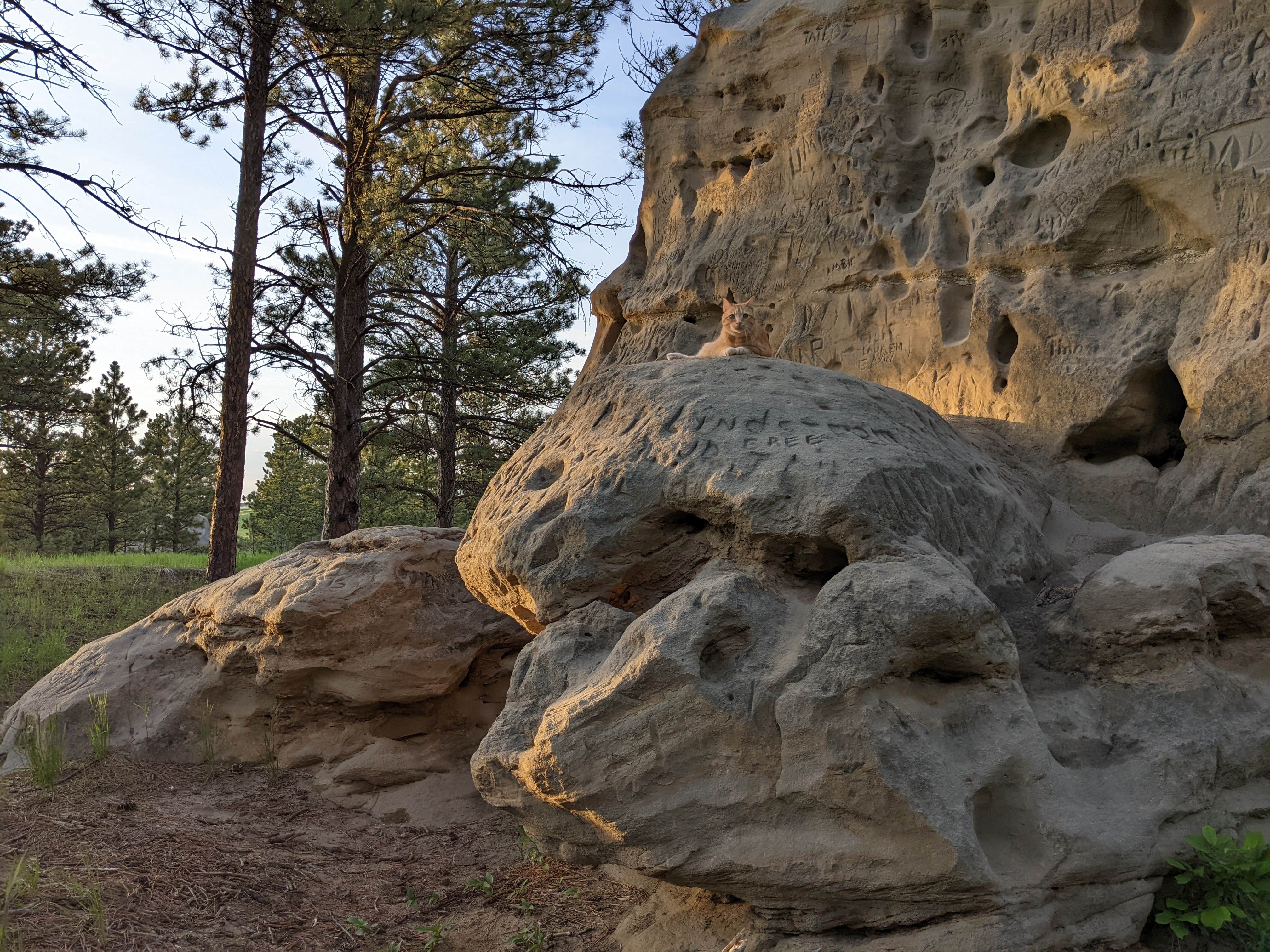 Camper submitted image from Medicine Rocks State Park - 2