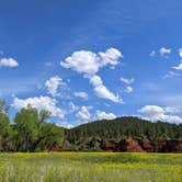 Review photo of Belle Fourche Campground at Devils Tower — Devils Tower National Monument by Daphne D., June 10, 2022