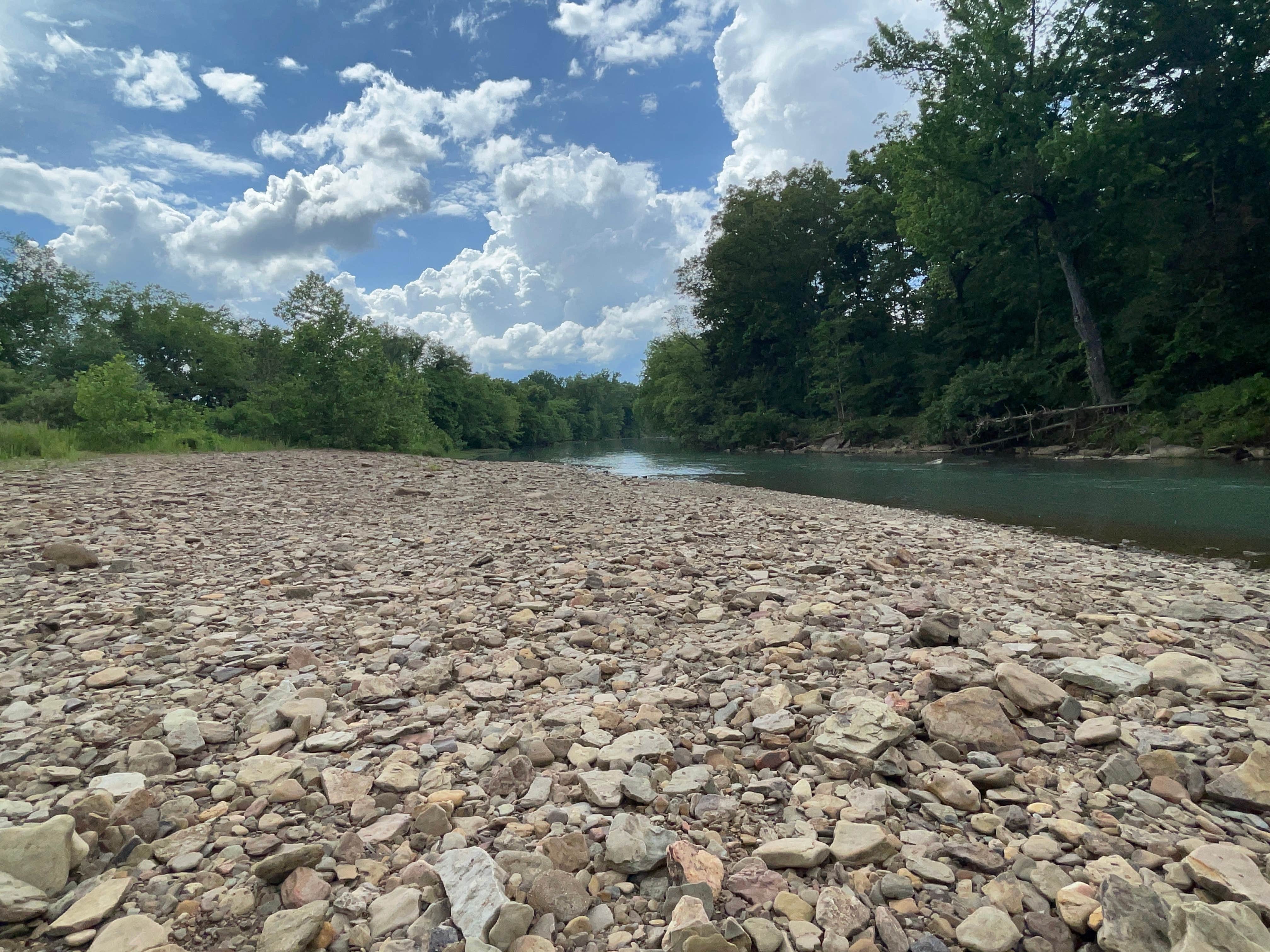 Camper-submitted photo at Riverfield Acreage- White River near St. Paul, AR