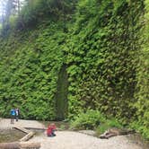 Review photo of Elk Prairie Campground — Prairie Creek Redwoods State Park by Ally S., July 26, 2016