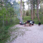 Review photo of Oreville Campground by Leslie B., June 10, 2022