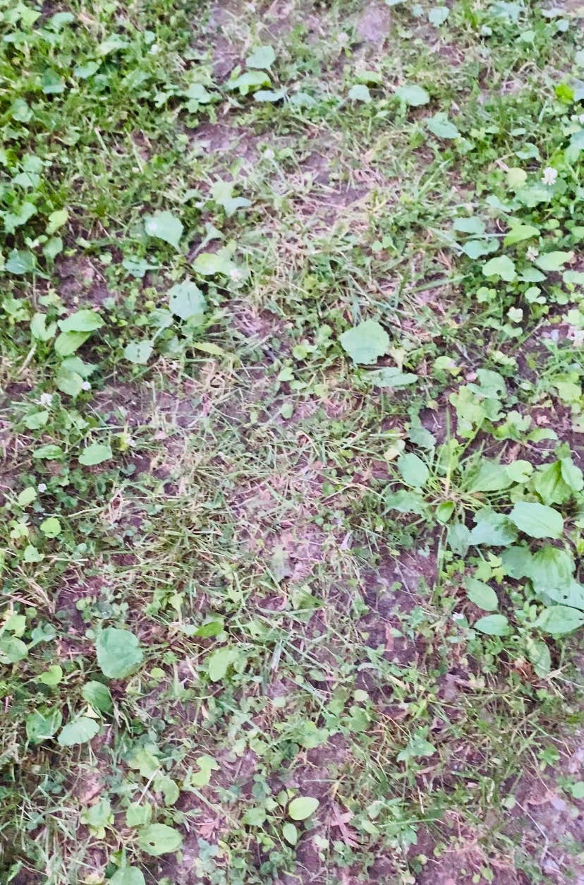 Camper-submitted photo at Crawfordsville KOA near Carmel, IN