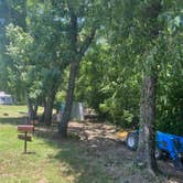 Review photo of Harmon Creek Marina and Campground by Clifton B., June 10, 2022