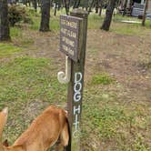 Review photo of South Beach State Park Campground by Laura M., June 10, 2022