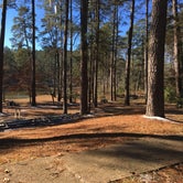 Review photo of Clear Springs Recreation Area by Wilkinson T., July 15, 2018
