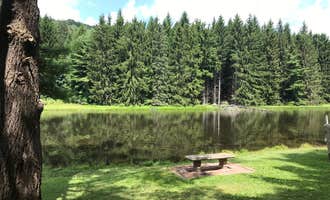 Camping near Savage River State Forest: Sleepy Hollow Campground, Grantsville, Maryland