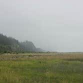 Review photo of Elk Prairie Campground — Prairie Creek Redwoods State Park by Ally S., July 26, 2016