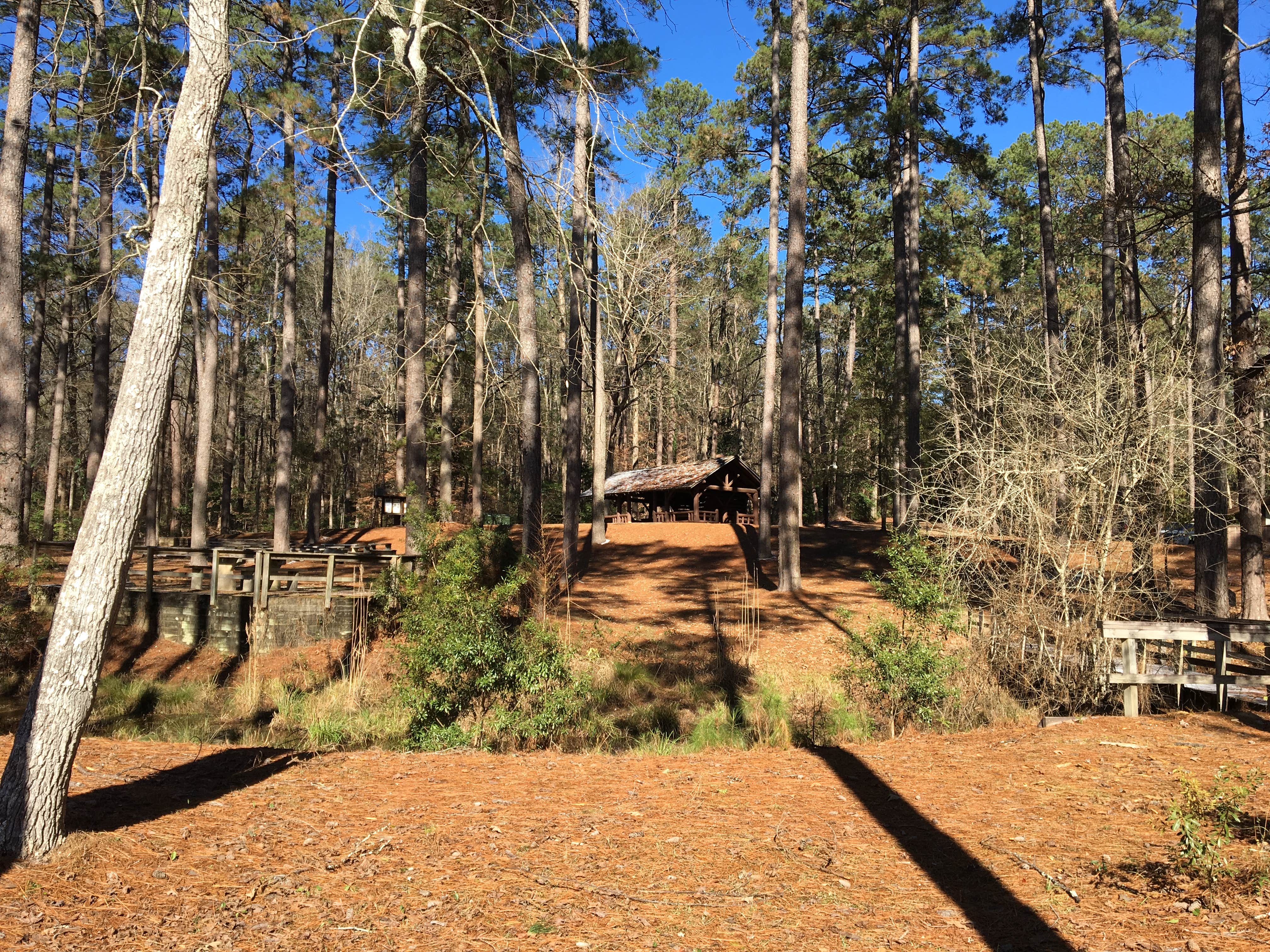 Camper-submitted photo at Clear Springs Recreation Area near Gloster, MS