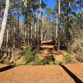 Review photo of Clear Springs Recreation Area by Wilkinson T., July 15, 2018