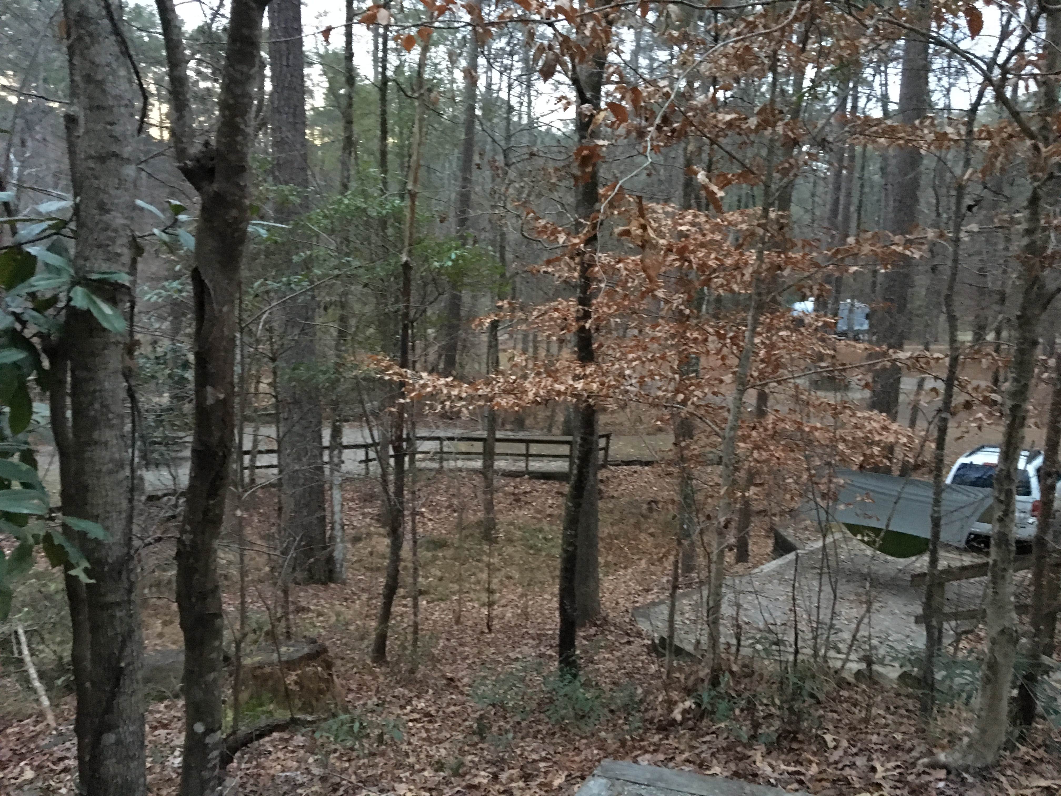 Camper-submitted photo at Clear Springs Recreation Area near Gloster, MS