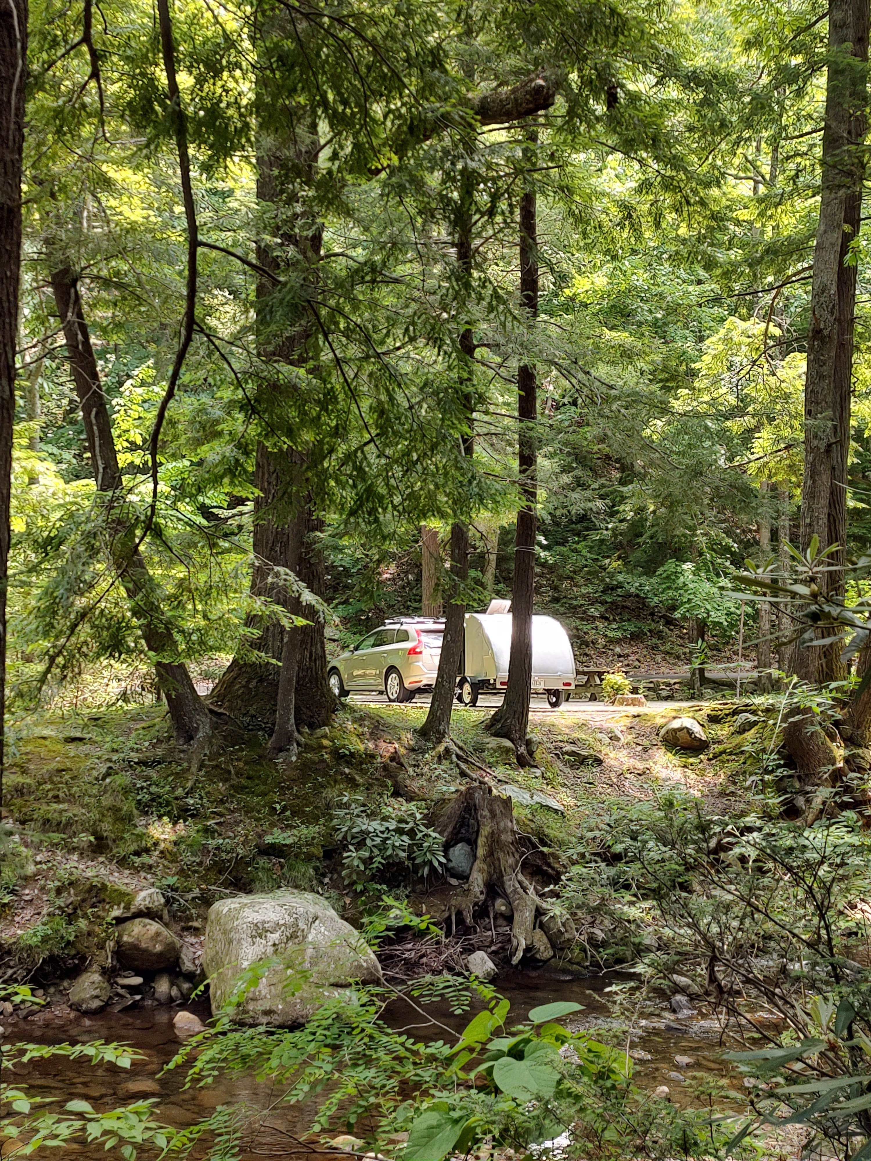 Camper submitted image from Horse Creek Recreation Area - 5