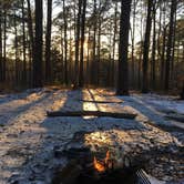 Review photo of Clear Springs Recreation Area by Wilkinson T., July 15, 2018