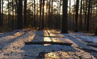 Wilkinson T.'s photo at Clear Springs Recreation Area near St. Joseph, LA