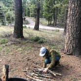 Review photo of Stoddard Creek Campground by Sierra T., June 10, 2022