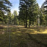 Review photo of Stoddard Creek Campground by Sierra T., June 10, 2022