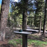 Review photo of Stoddard Creek Campground by Sierra T., June 10, 2022