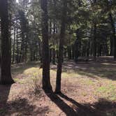 Review photo of Stoddard Creek Campground by Sierra T., June 10, 2022