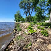 Review photo of Thomson Causeway by Stacie H., June 11, 2022