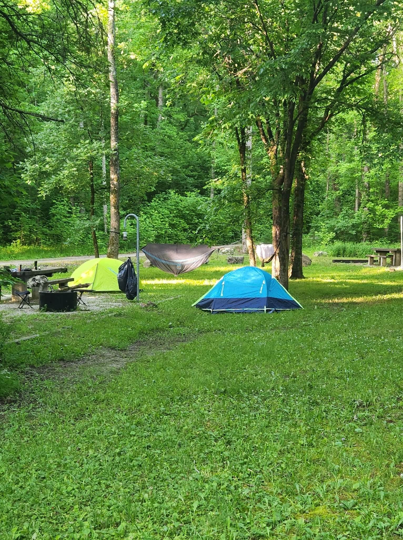 Tyra's photo at Richland Creek Recreation Area near Marshall, AR