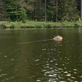 Review photo of Hovey Lake Campsites by Eric G., June 11, 2022