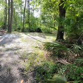 Review photo of Okefenokee Pastimes Cabins and Campground by Dustin T., June 11, 2022