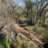 Review photo of Pedernales Falls State Park Campground by Jessica M., June 11, 2022