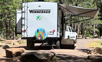 James C.'s photo at Aspen Campground near Springerville, AZ