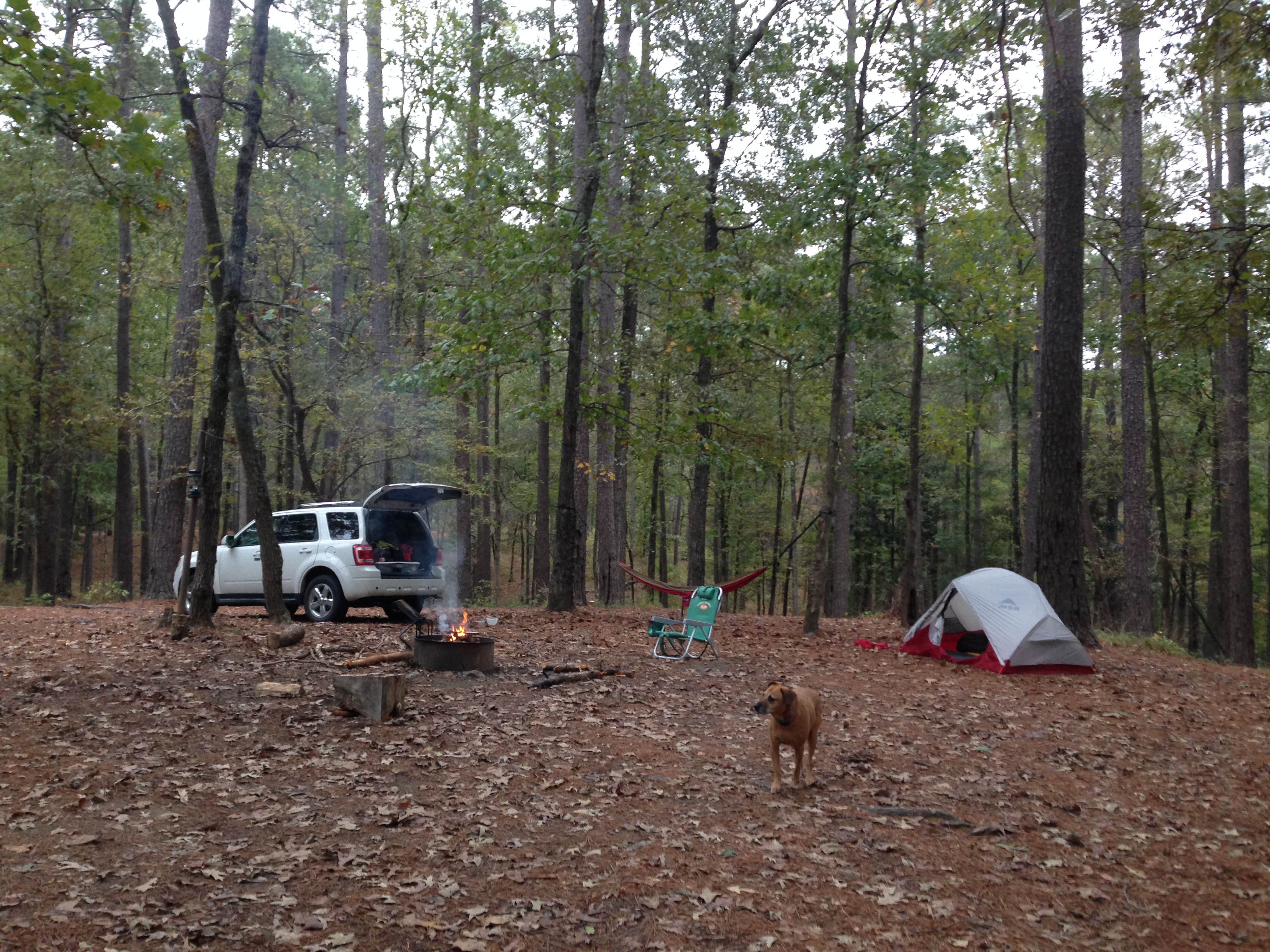Wilkinson T.'s photo at Clear Springs Recreation Area near St. Joseph, LA