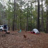 Review photo of Clear Springs Recreation Area by Wilkinson T., July 15, 2018