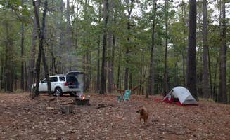 Wilkinson T.'s photo at Clear Springs Recreation Area near Liberty, MS