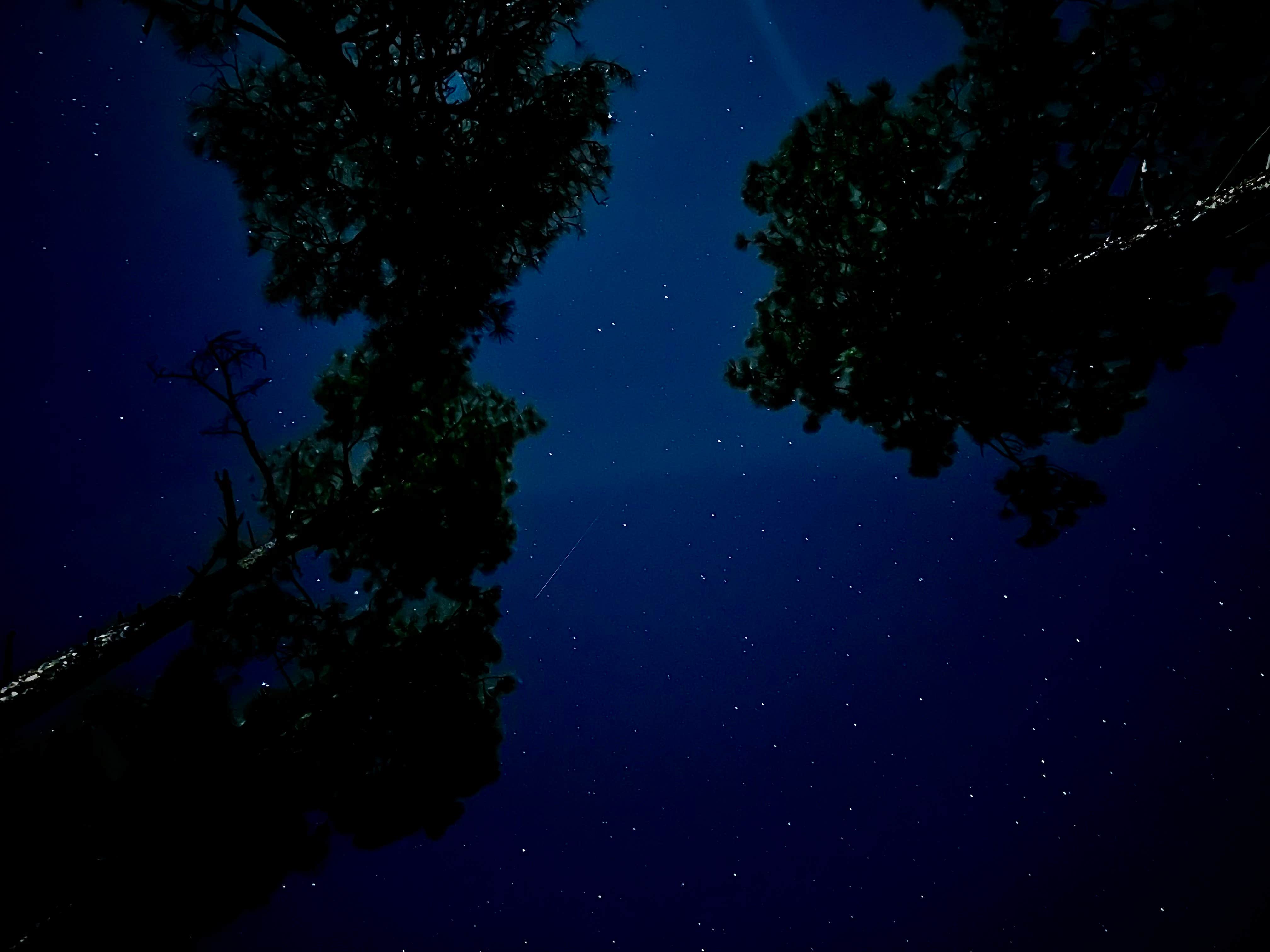 Harlo F.'s photo of a dispersed camping area at FDR 373 Thumb Butte Loop near Prescott Valley, AZ