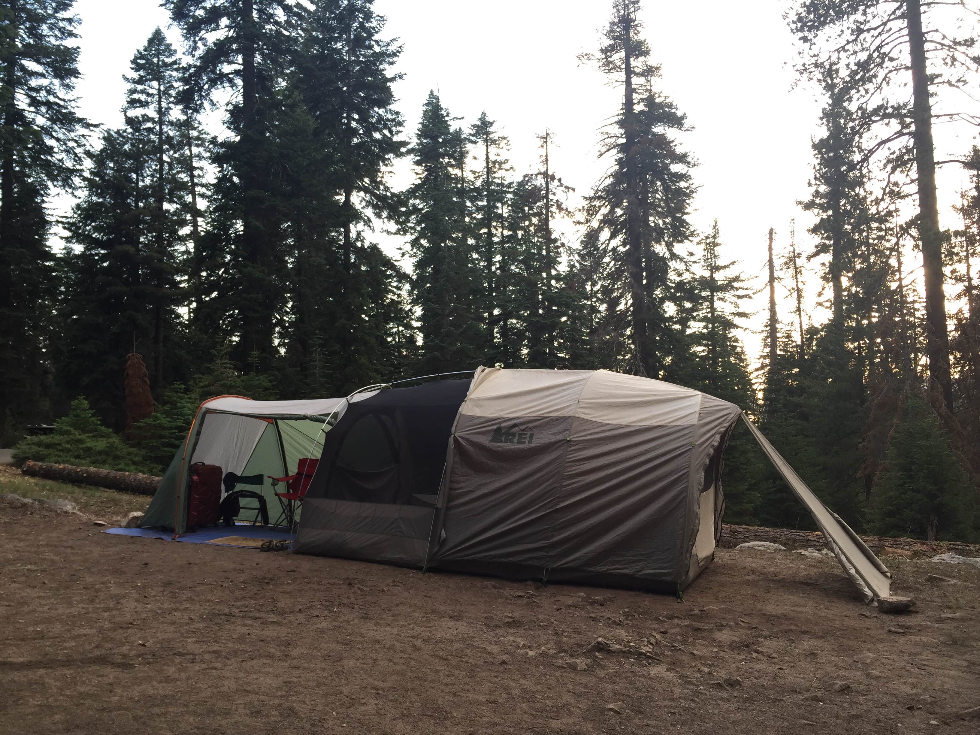 Camper submitted image from Dorst Creek Campground — Sequoia National Park - TEMPORARILY CLOSED - 5