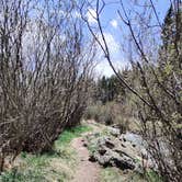 Review photo of Rampart Reservoir Dispersed by DeAnn M., June 11, 2022