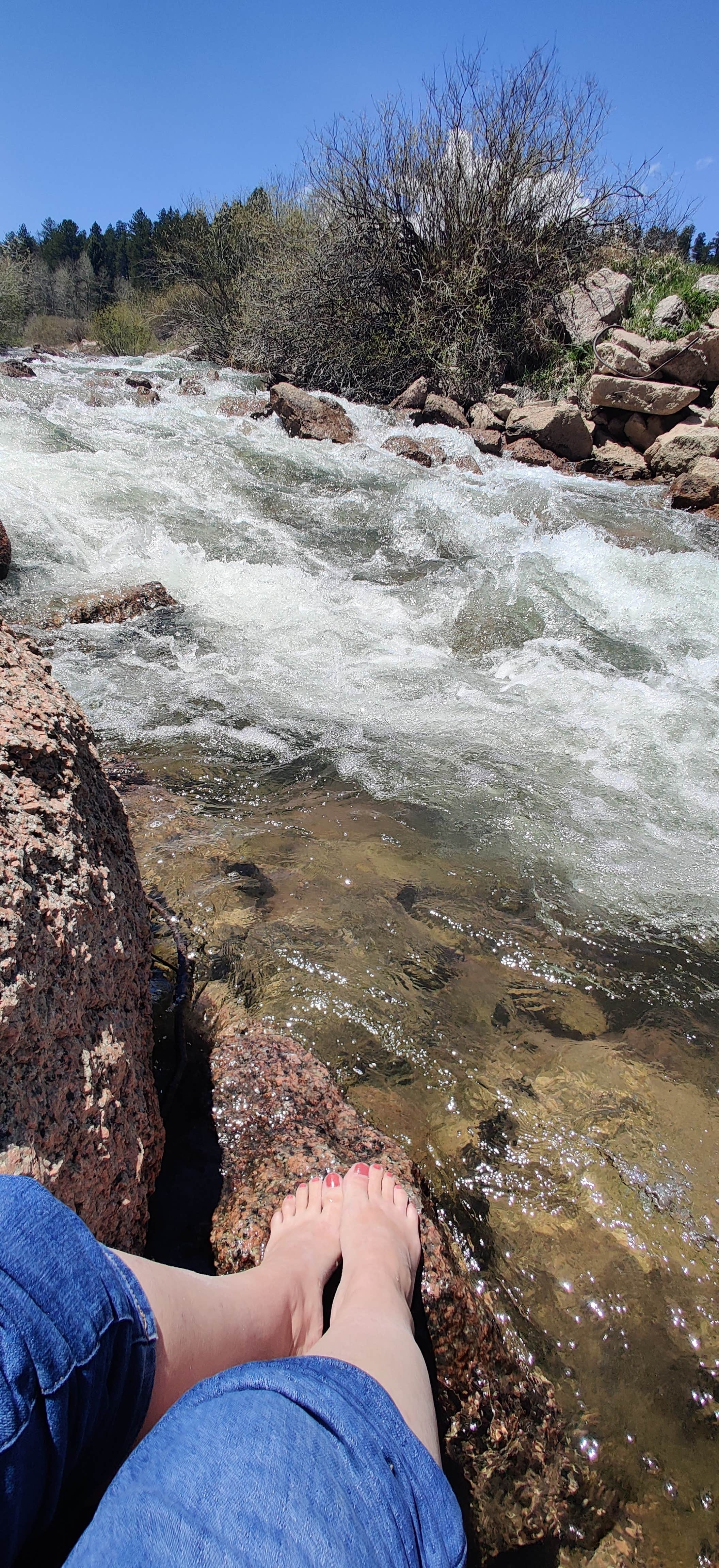 Camper submitted image from Rampart Reservoir Dispersed - 5