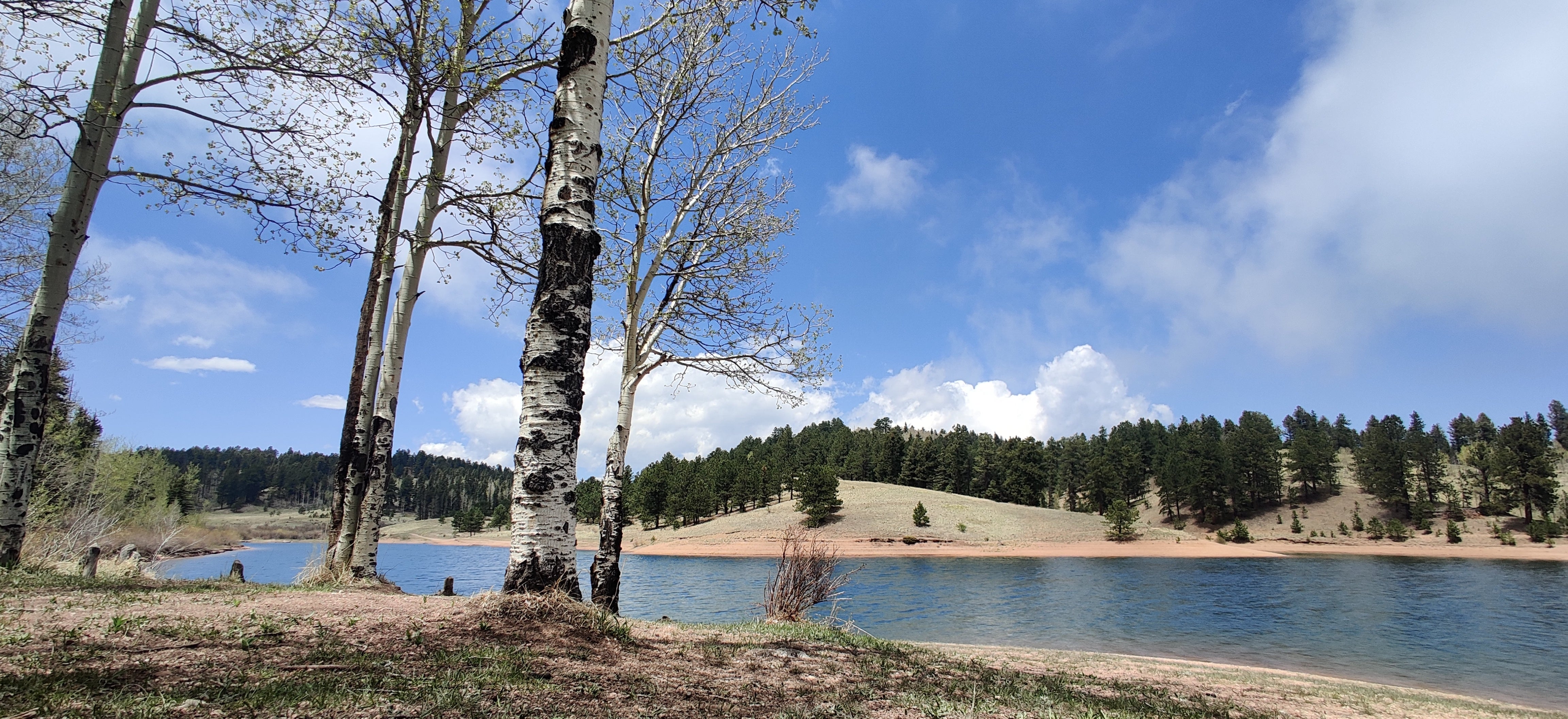 Camper submitted image from Rampart Reservoir Dispersed - 5
