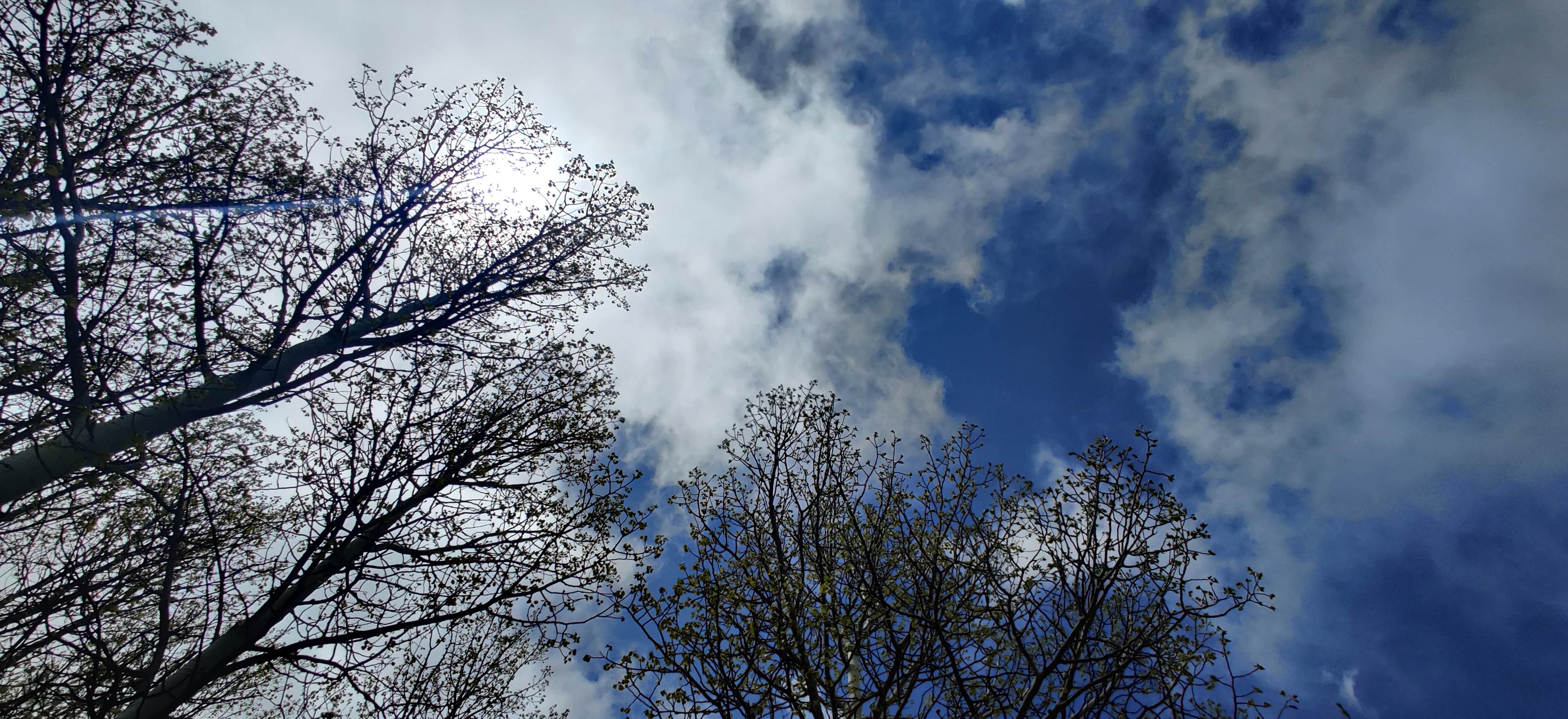 DeAnn M.'s photo of a dispersed camping area at Rampart Reservoir Dispersed near Pueblo, CO