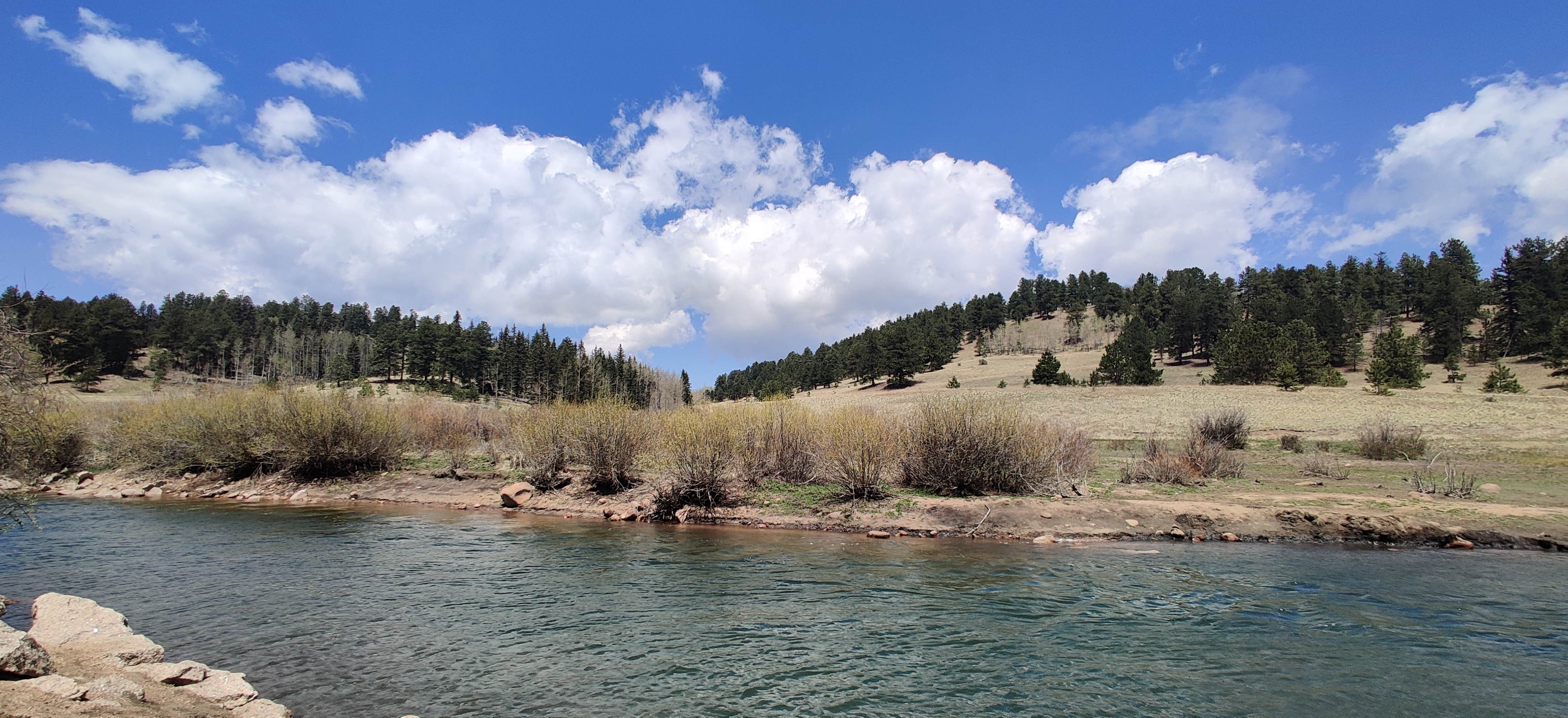 DeAnn M.'s photo of a dispersed camping area at Rampart Reservoir Dispersed near Manitou Springs, CO
