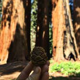 Review photo of Dorst Creek Campground — Sequoia National Park - TEMPORARILY CLOSED by Leslie M., July 15, 2018