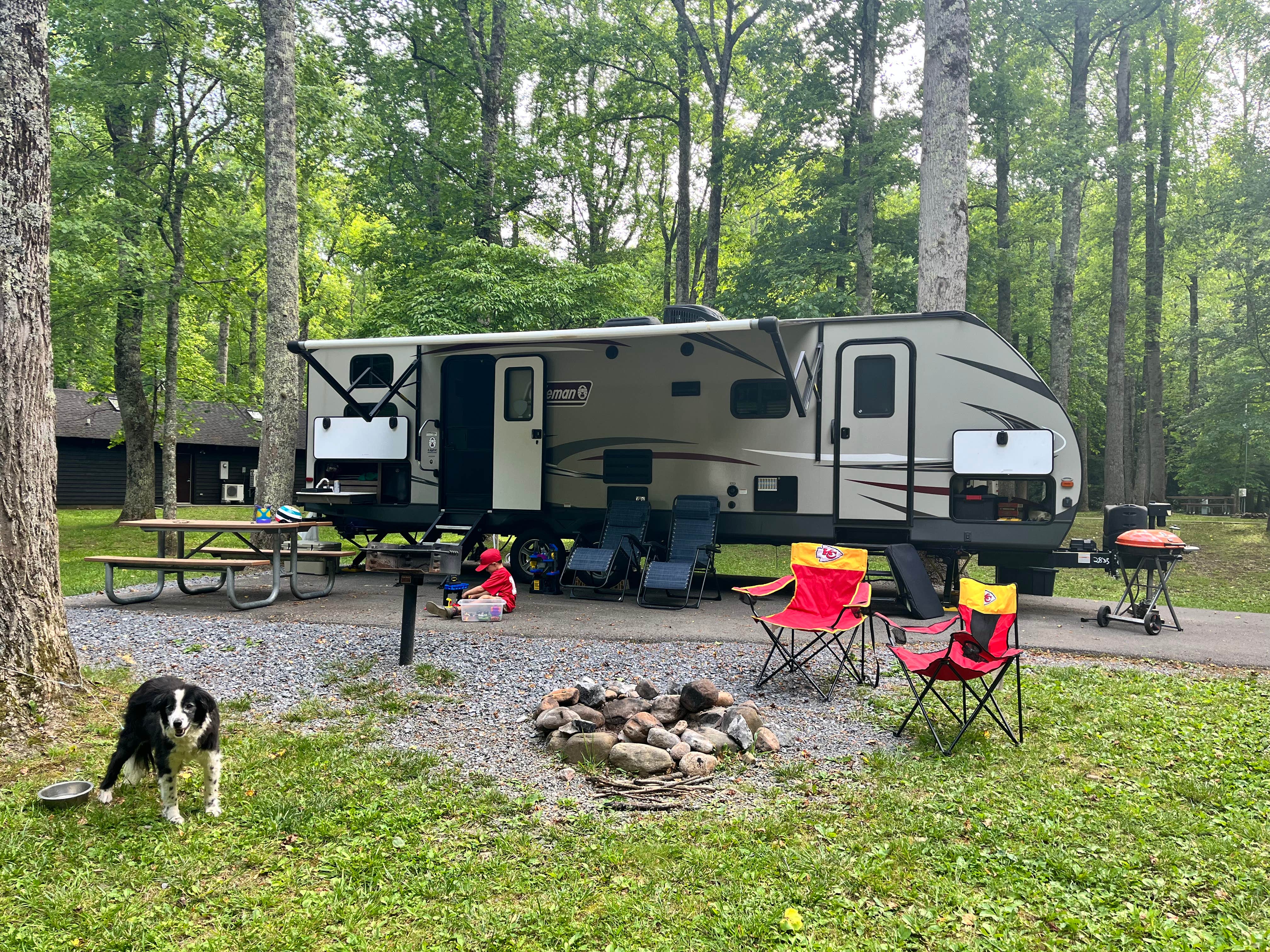 Ryan  C.'s photo of rv camping at Roan Mountain State Park Campground near Banner Elk, NC