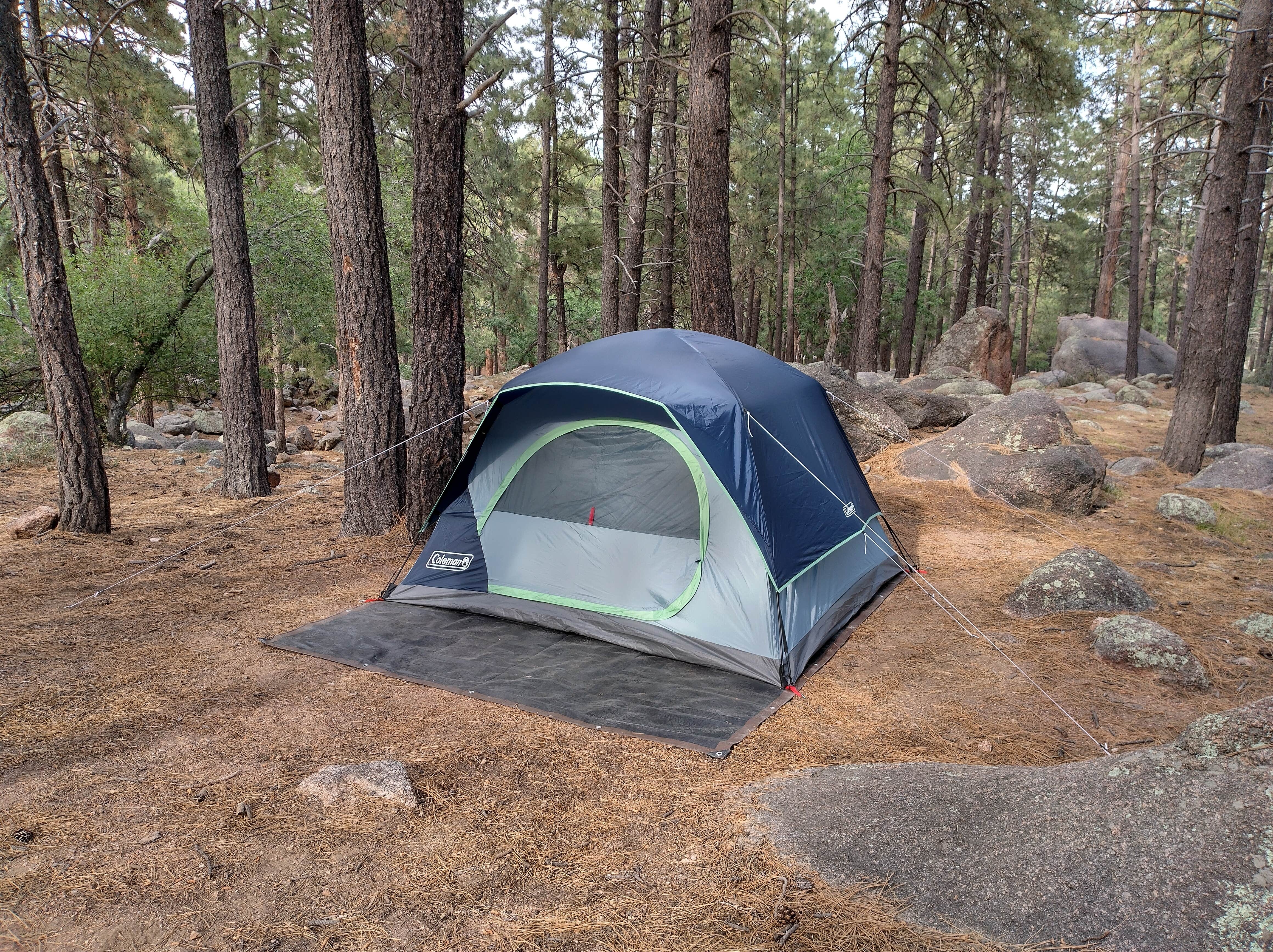 Alex M.'s photo at Hualapai Mountain Park near Peach Springs, AZ